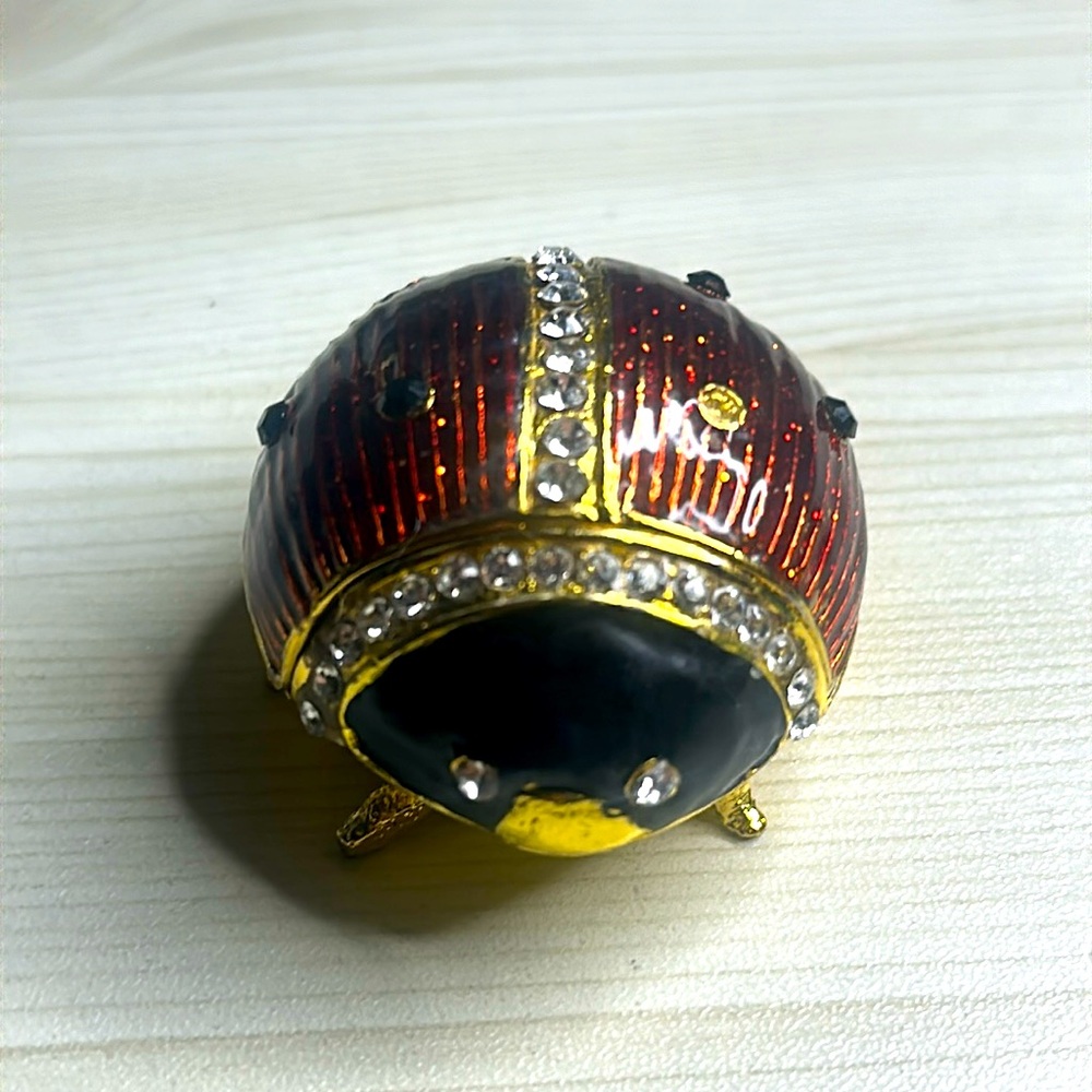 LADYBUG